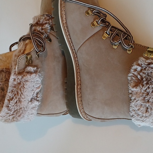 Avellini - Picture 4 of 7